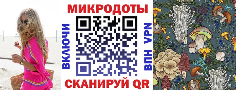 мега ТОР  Мариинский Посад  Псилоцибиновые грибы мицелий 